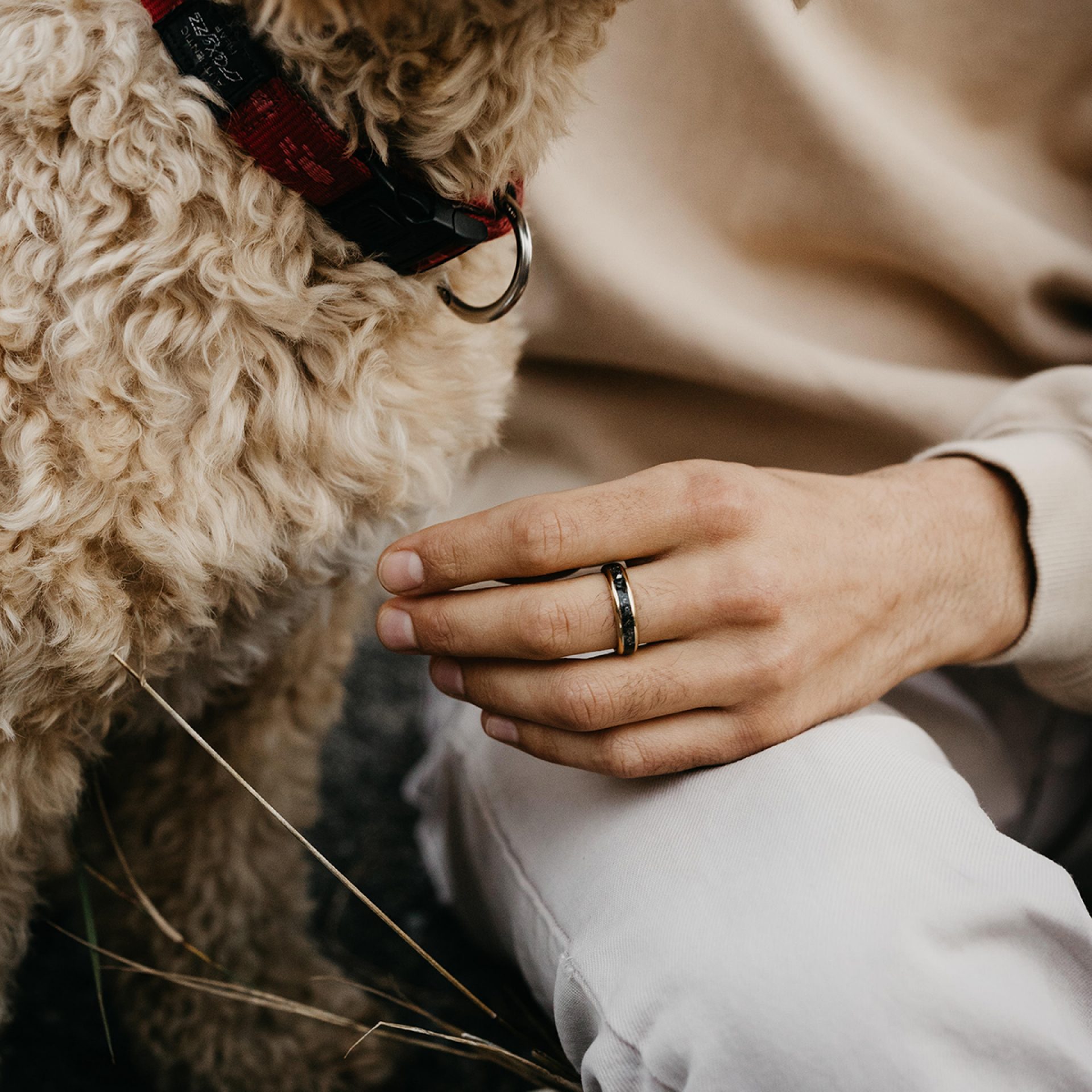 Herrenring mit Tierhaar Erinnerung verstorbener Asche Schmuck